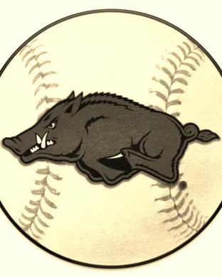 Arkansas Razorbacks Baseball Fayetteville