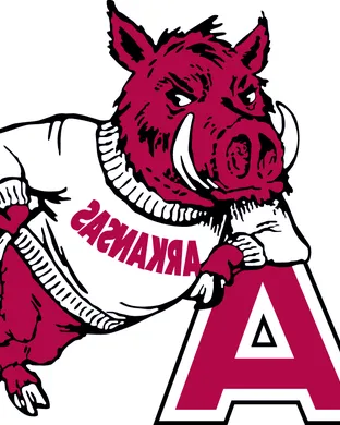 Arkansas Razorbacks Fayetteville