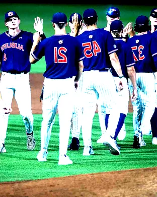Auburn Tigers Baseball Auburn