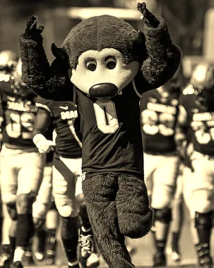 Colorado Buffaloes Stillwater