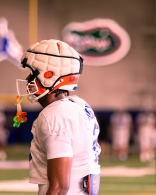 Florida Gators Norman