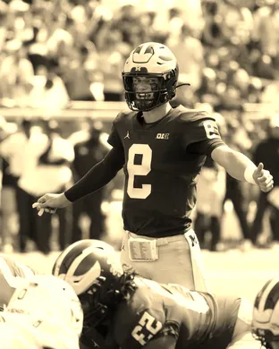 Michigan Wolverines Ann Arbor