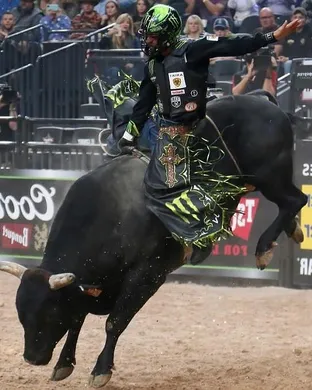 PBR: Team Series