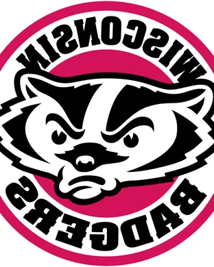 Wisconsin Badgers Madison
